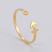 Bague signe astrologique